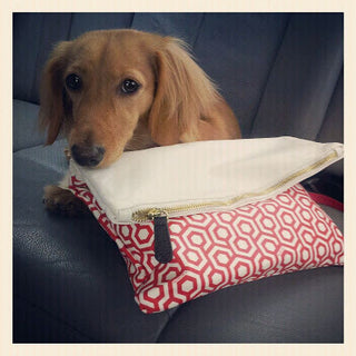 MISCHA Travel Diaries #031 - Puppy love