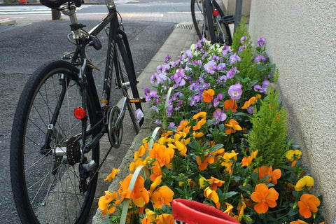 MISCHA Travel Diaries #112 - In the Mood for Love