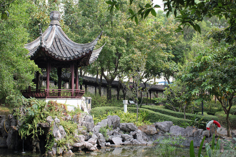 In And Around Kowloon Walled City Park