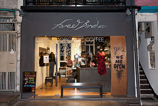 MISCHA's New Nesting Ground