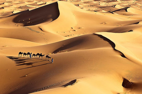 Trips to Take in Your Twenties