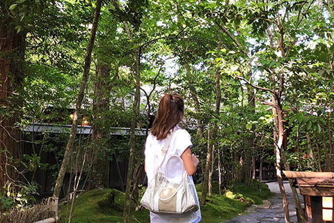 Travel Guide: Kumamoto Road Trip to Fukuoka