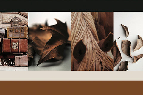 Behind The Collection: AW17 Journey