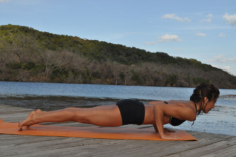 Chaturanga Arms