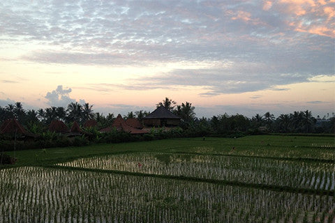 Travel Guide: Bali