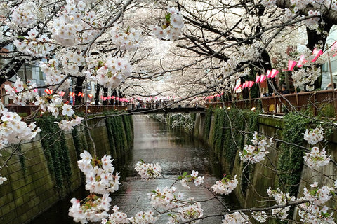 5 Things We Love About Spring