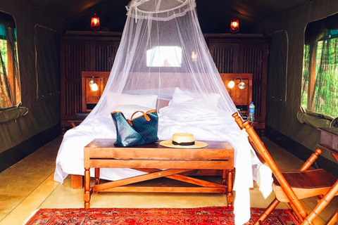 MISCHA Travel Diaries #130 - Tent Canopy