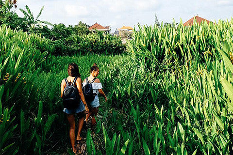 We Like Bali - Top 5 Places