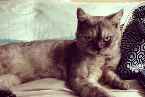 MISCHA Travel Diaries #089 - She Gave Me Fierce!